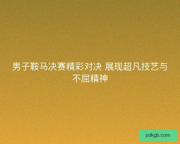 男子鞍马决赛精彩对决 展现超凡技艺与不屈精神